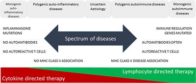 The Future of Immunotherapy: A 20-Year Perspective